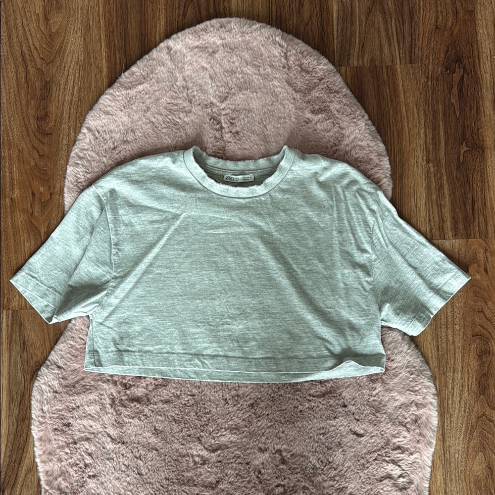 Zara Light Gray Cropped Tee